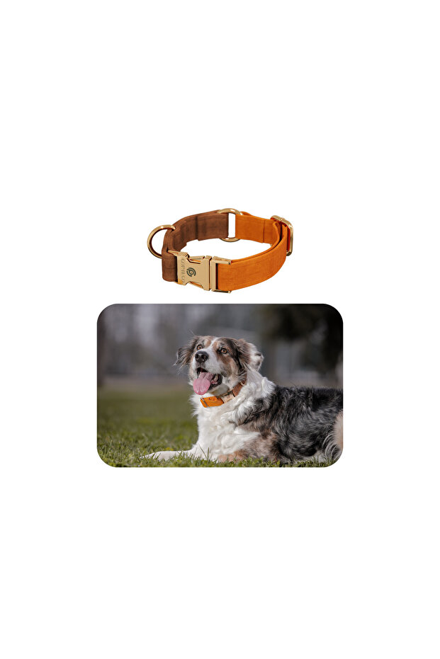 GoPawGo Charmlı Harlowe Köpek Boyun Tasması
