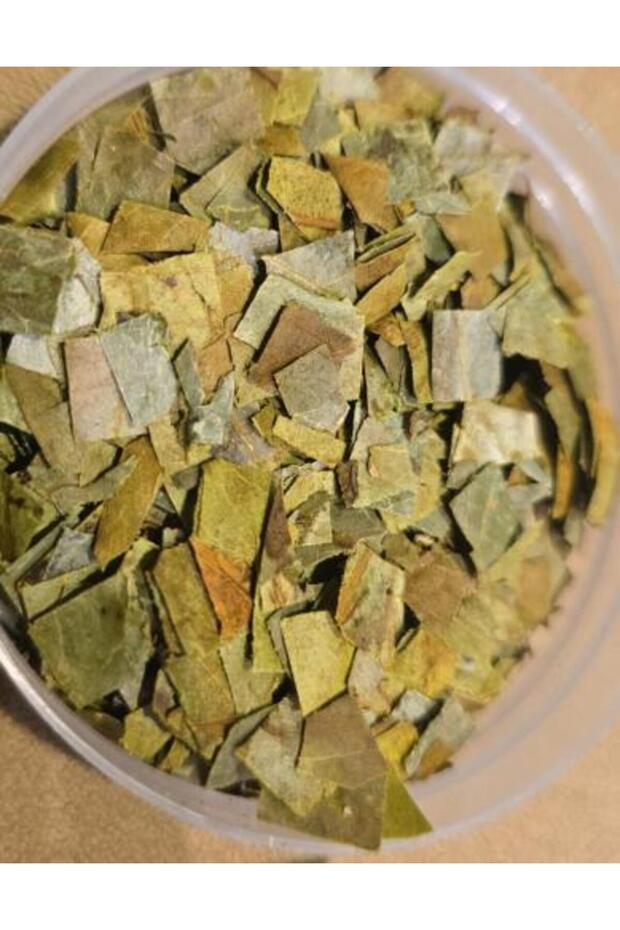 Soursop (Graviola) Leaf Tea - 50 g
