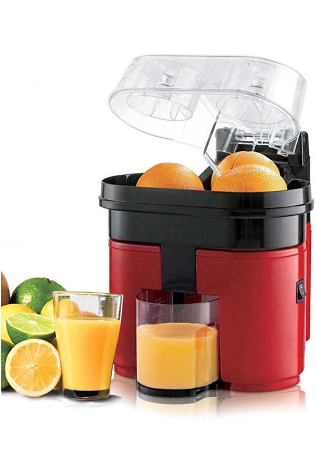 Double Electric Citrus Juicer — Slow Masticating Wide-Mouth Juicer for Grapefruit, Lime, Orange, L