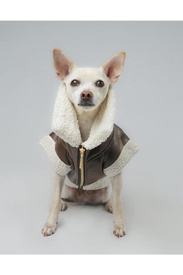 Zippered Fur Leather Dog Outfit Brown Medium