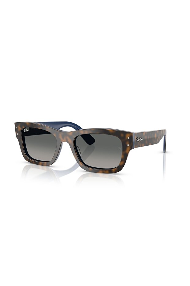 Sunglasses Rb7683S 55 140171