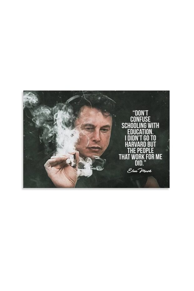 ALAYRA Elon Musk Quote Posters & Prints on Canvas Wall Art Poster for Room Decor Unframe ()45.7X30.5 CM