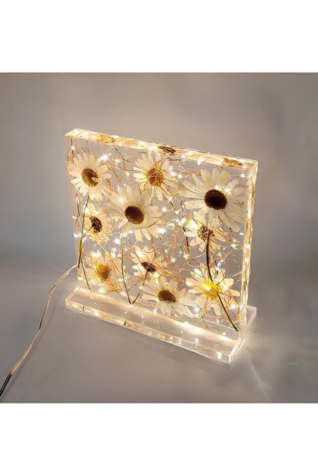 Epoxy Masa & Gece Lambası - 1