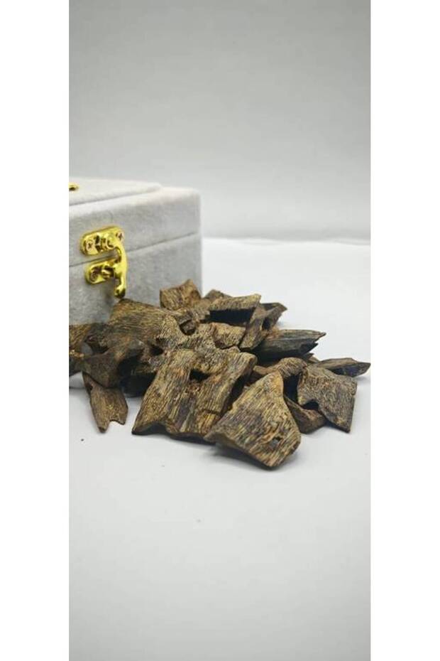 عود كينامي - 1