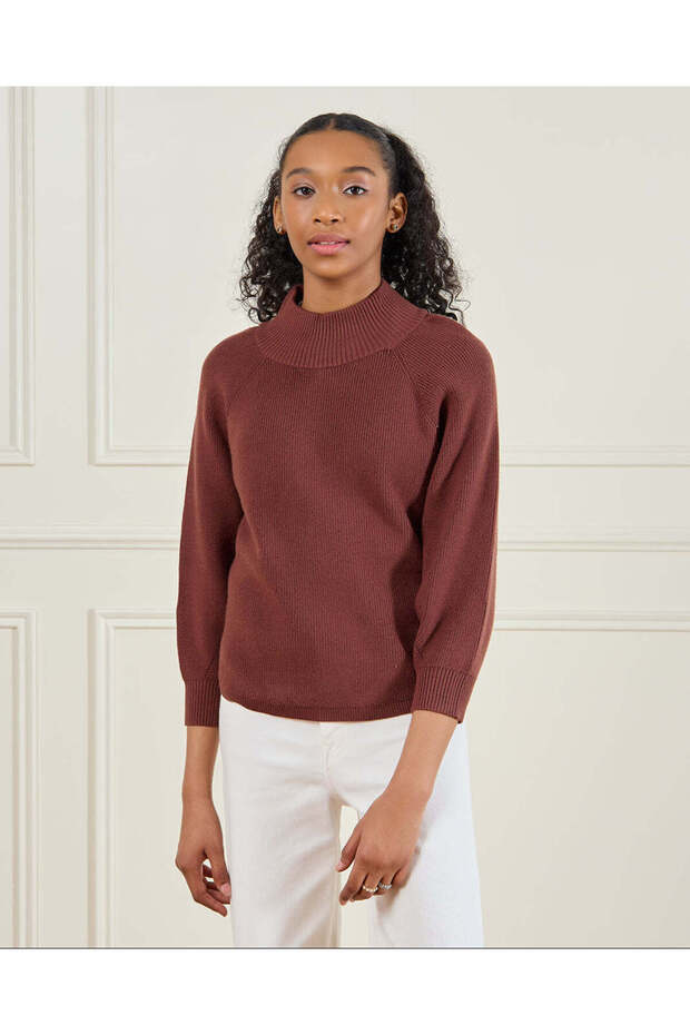 Senior Girls Brown Plain High Neck Pullover