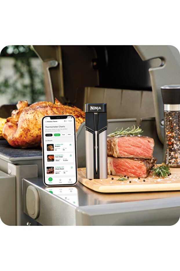 Cooking thermometer WP100EU - 2