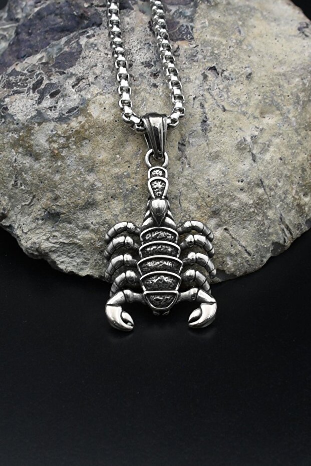 Scorpion Figured Necklace Stainless Steel Chain 3mm 902491