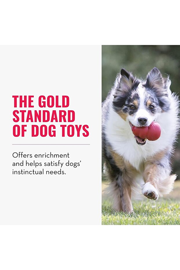 Classic Stuffable Dog Toy - Fetch & Chew Toy for Dogs - 3