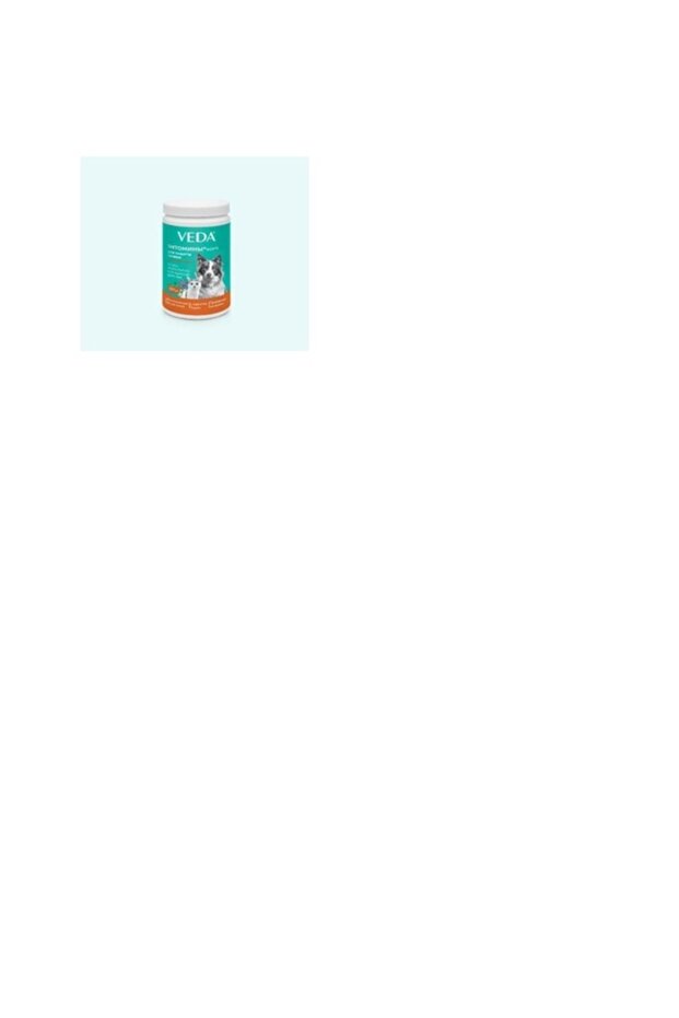 PHYTOMINS FORTE liver support(200 tablet)