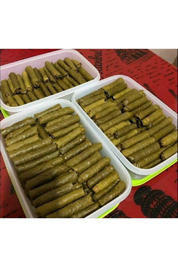 3 Adet 1 LT Yatay Alaska. - 1