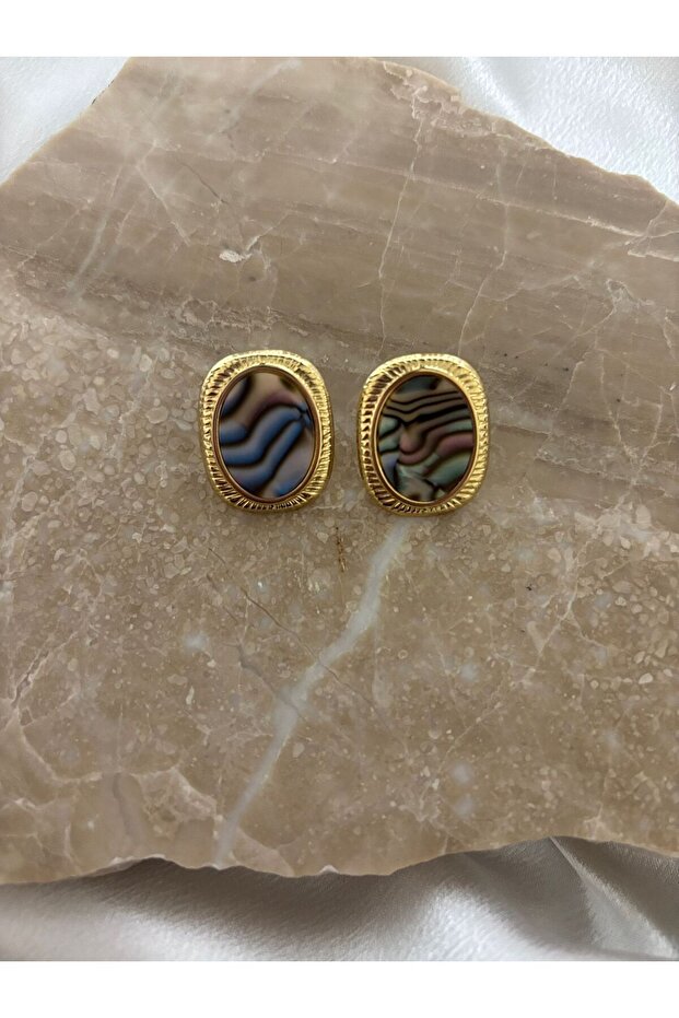 Labradorite Detailed Plate Steel Earrings