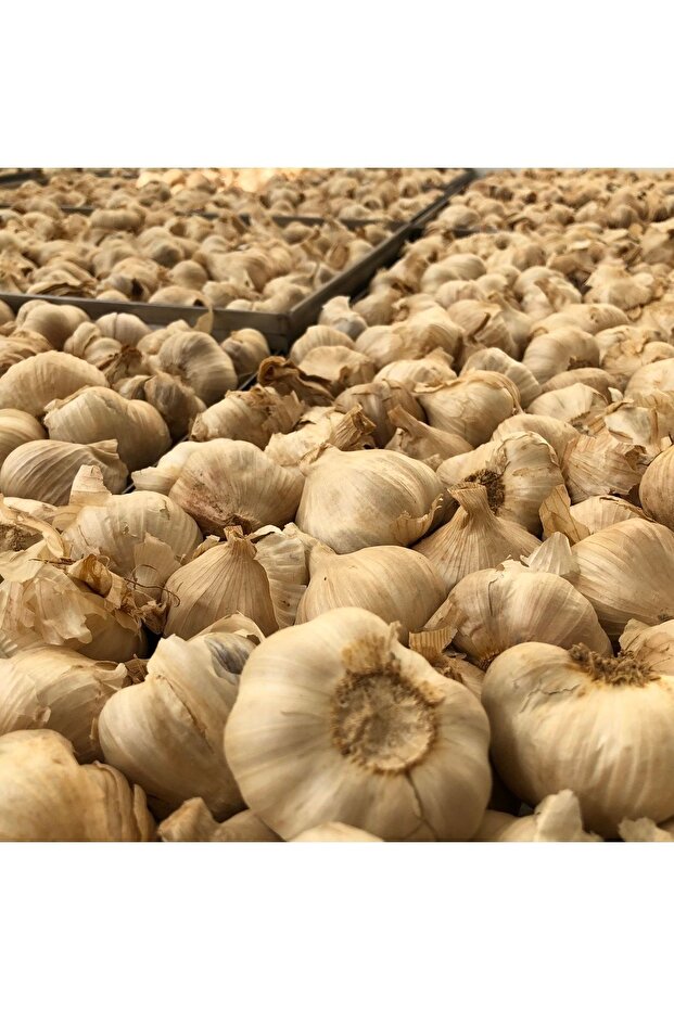 Siyah Sarımsak 400 Gram - 5