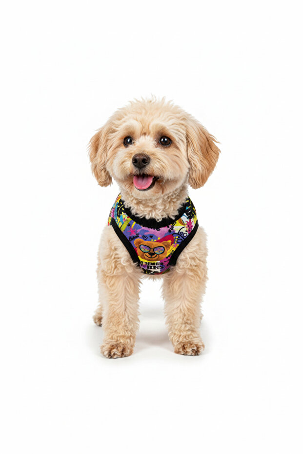 Cat Dog Outfit - Cute Teddy Bear - Small Breed