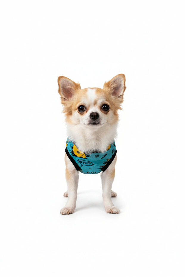 Cat-Dog Outfit Patterned - Small Breed