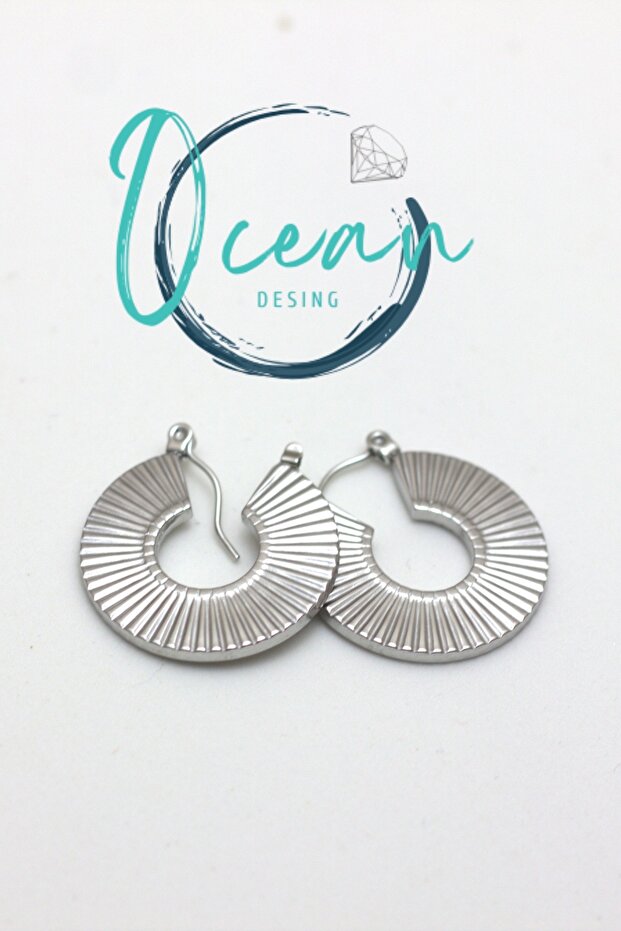 Steel Silver Color Oval Striped Plate Women's Earrings – Tarnish-Free & Modern Design