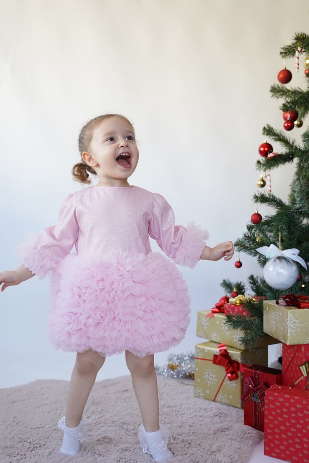 Baby Girl Kids Dress Long Sleeve Tulle Tutu Special Occasion Party Birthday Princess Silvery Christmas Dress