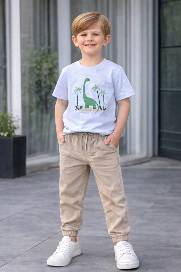 Boy's Dinosaur Printed T-Shirt with Pants 2-Piece Premium Set