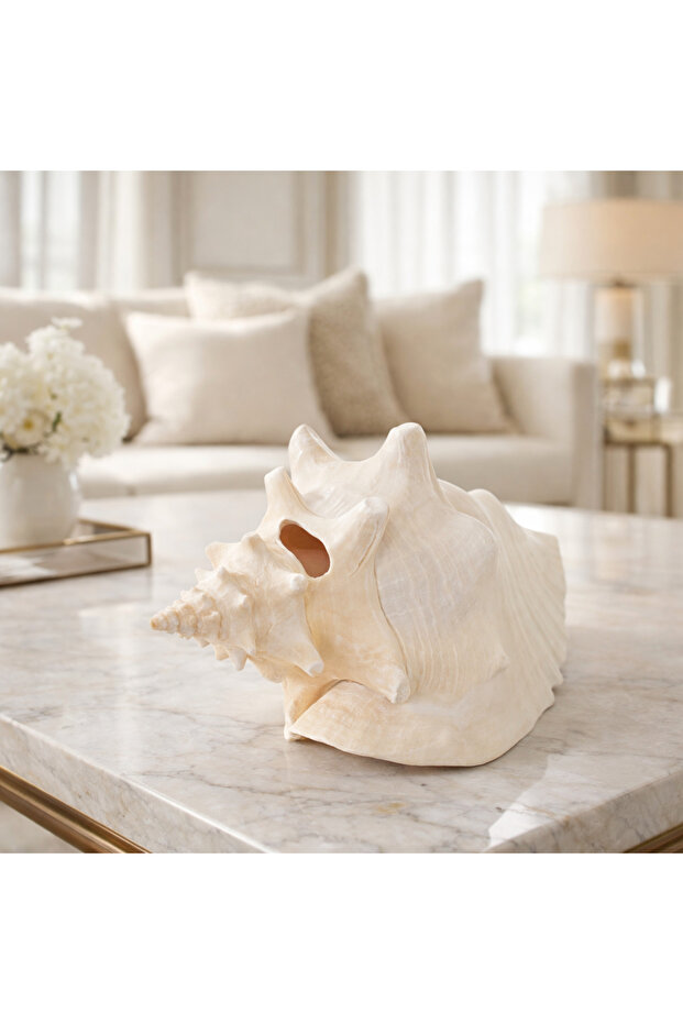Natural Sea Shell Collection – Large Decorative Seashells for Home Decor, Beach Theme Decorations