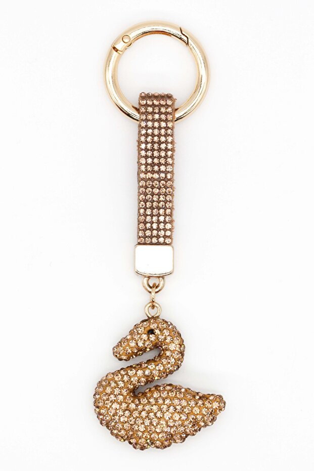 سلسلة مفاتيح البجعة - 1