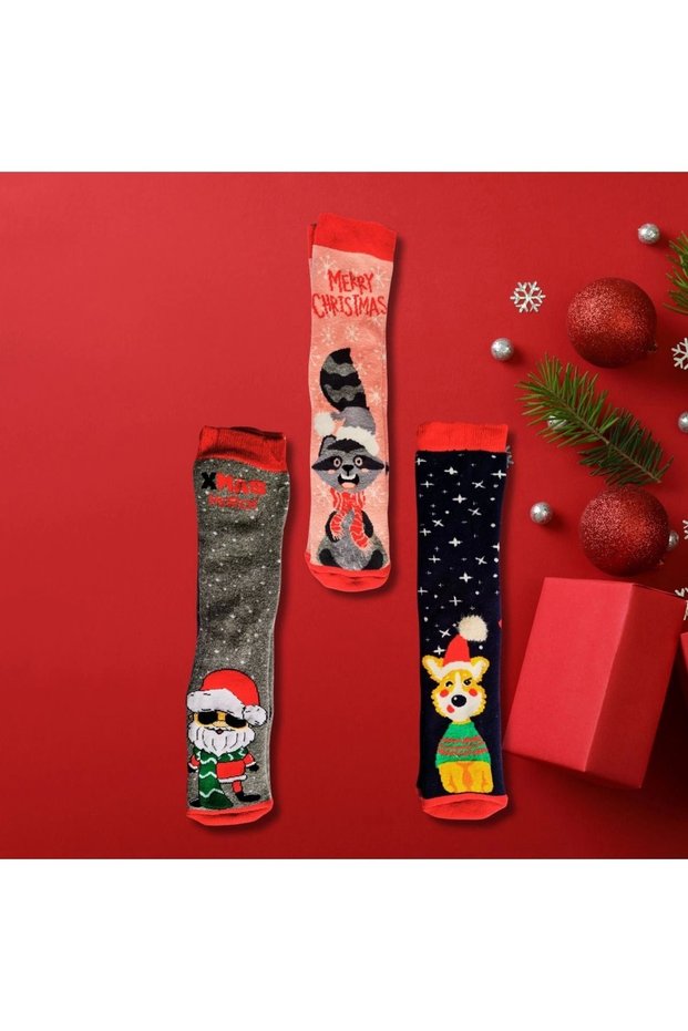 Christmas Socks - New Year's Gift Set of 3 - Colorful Patterned Santa Claus and Winter Themed Socks Set