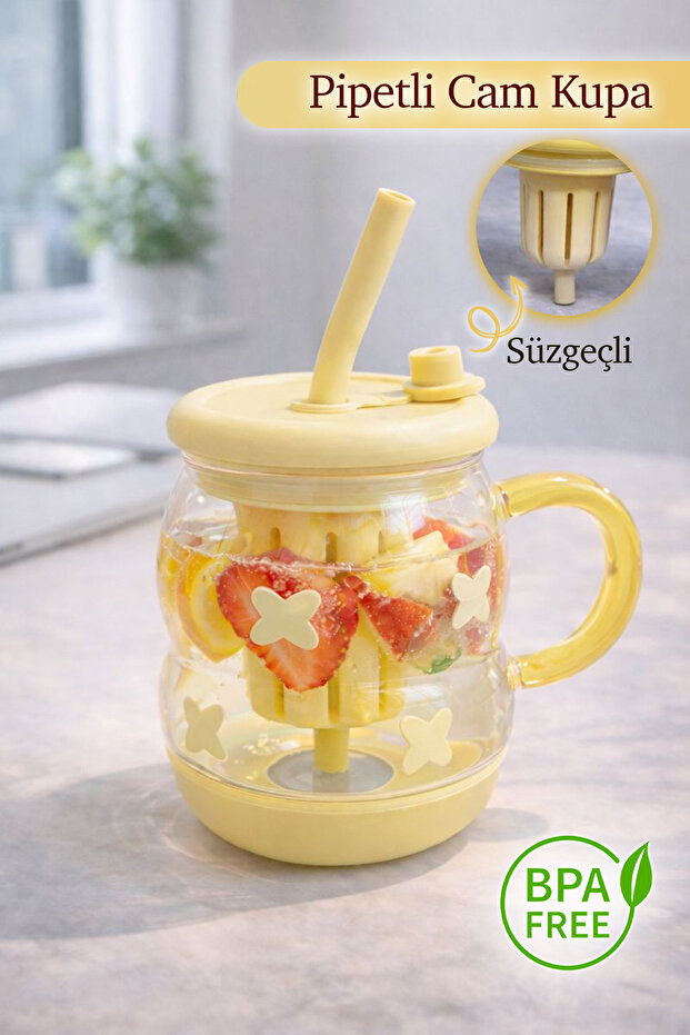 Borosilicate Glass Mug with Strainer - Detox Flask with Design Straw Lid