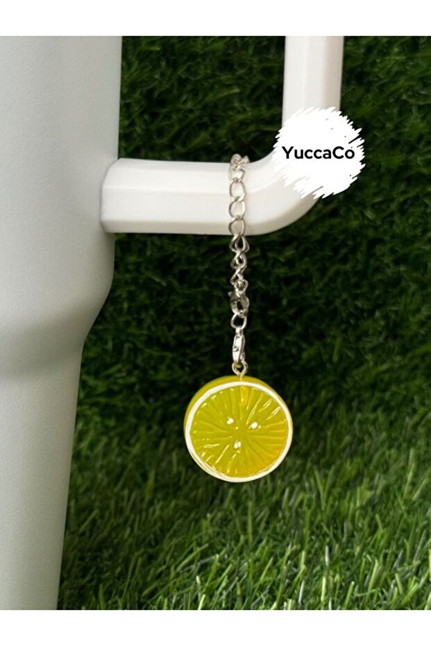 Lemon Thermos Ornament/Lemon Thermos Charm/Fruit Figure Bag Charm