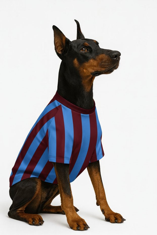 Cat-Dog Fan Jersey Burgundy Blue - Large Breed