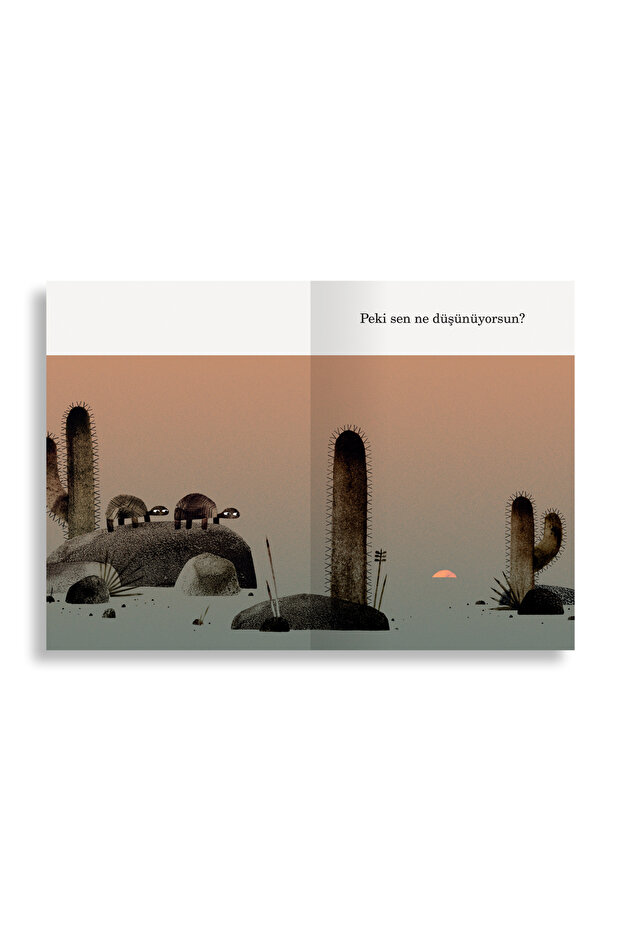 Bir Şapka Bulduk - 4