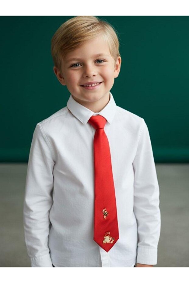 Boy's Christmas Themed Charm Embroidered Tie