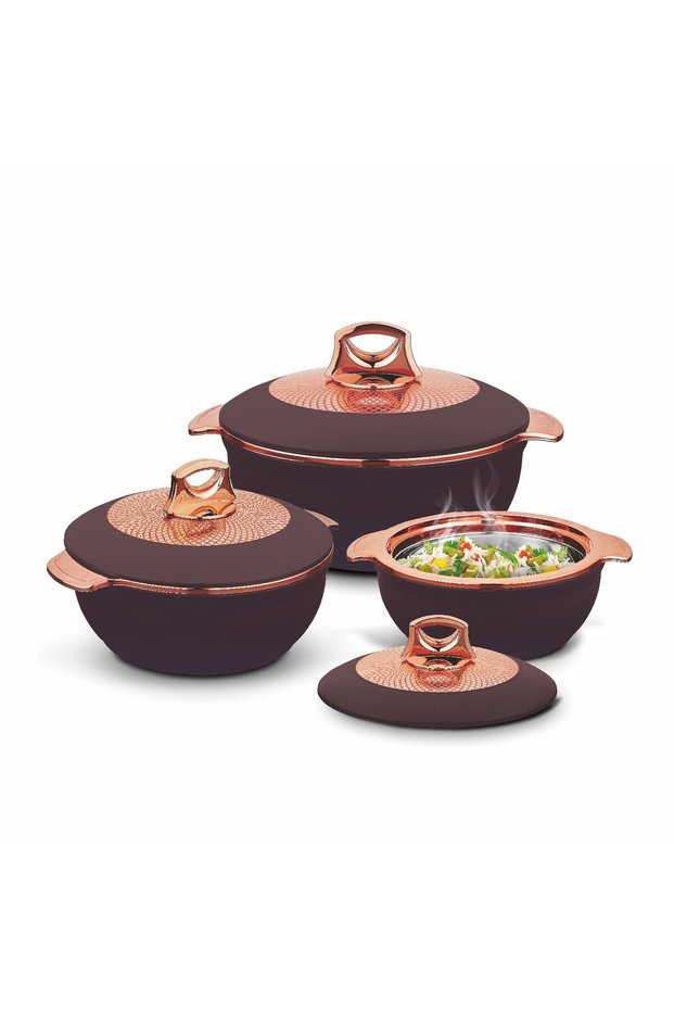Globus Hot Food Storage Container & Warmers Set 3(Super) (1600+2500+3500) | (Assorted Color)