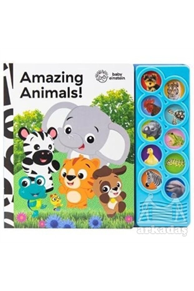 Baby Einstein: Amazing Animals (10-Button Sound Book)