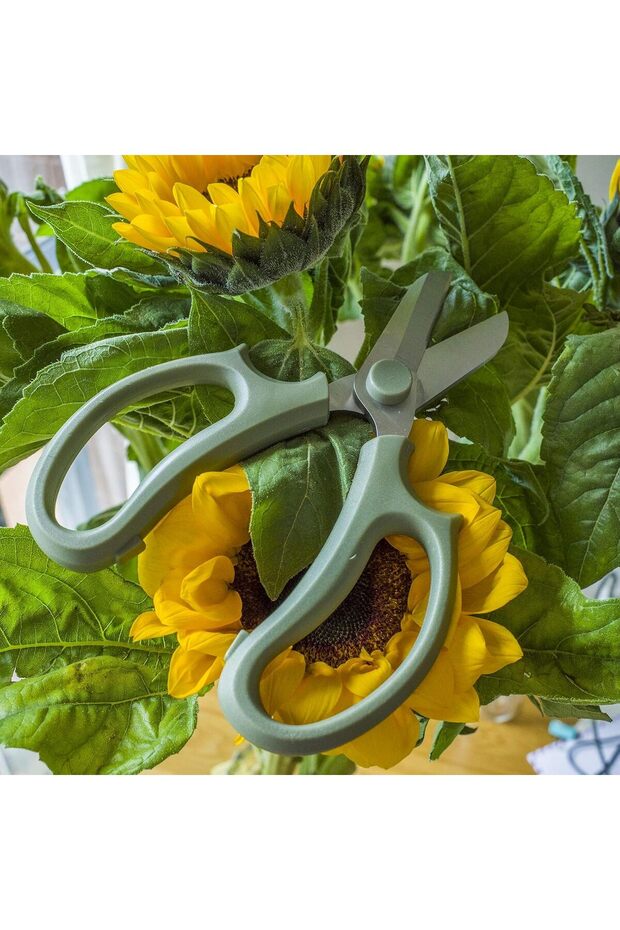 مقص تقليم لاز - 3