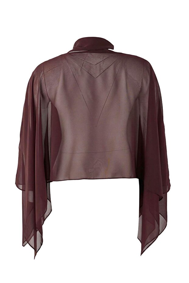 Brown Chiffon Woven Plus Size Blouse - 4