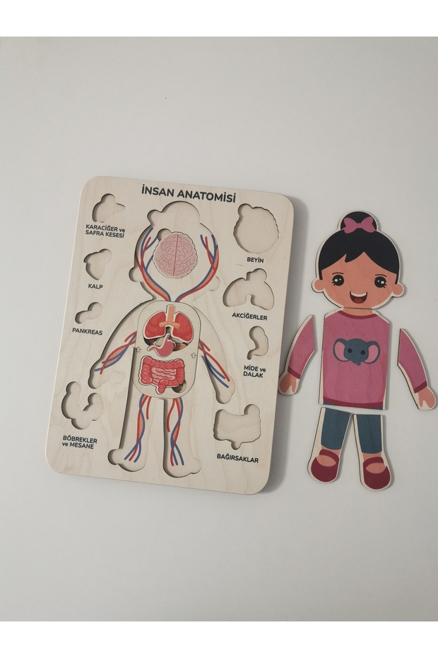 Wooden Human Anatomy Puzzle, Girl Child, Layered Puzzle, Montessori Body Awareness Material