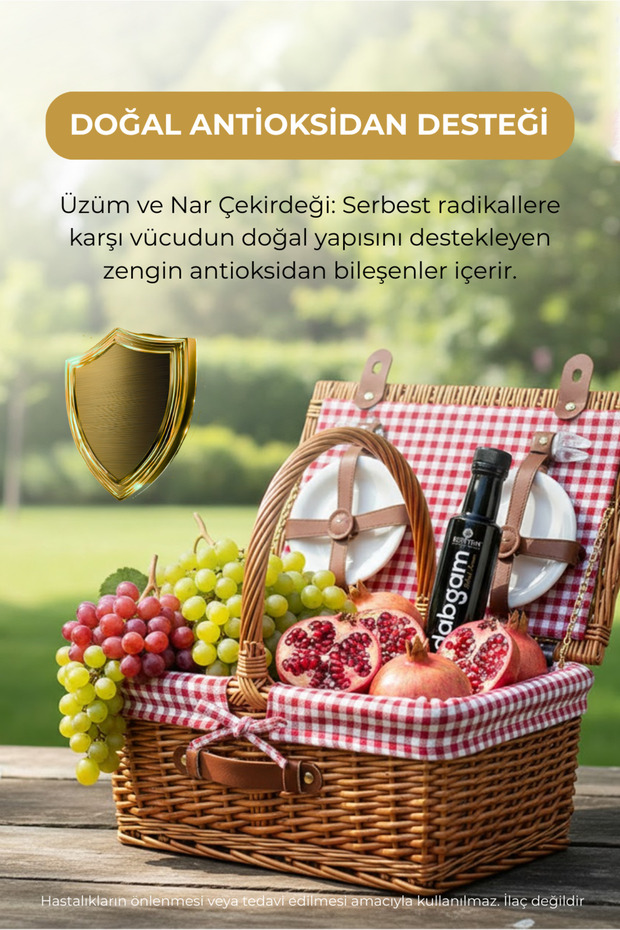 Dabgam Bitkisel Karışım 250ml - 6