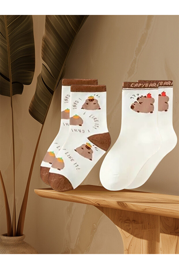Kapibara Çorap 2 Çift - 1