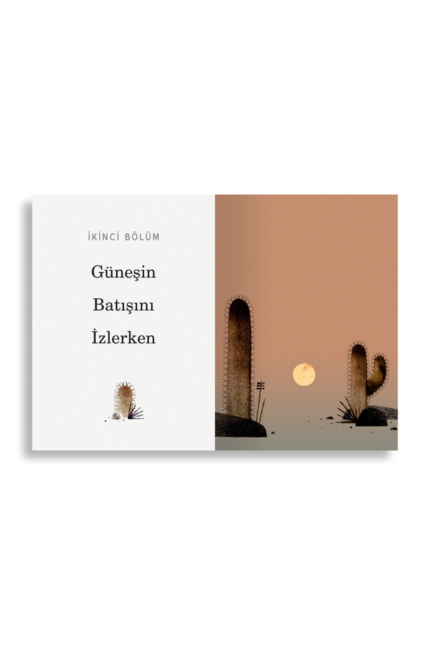 Bir Şapka Bulduk - 5