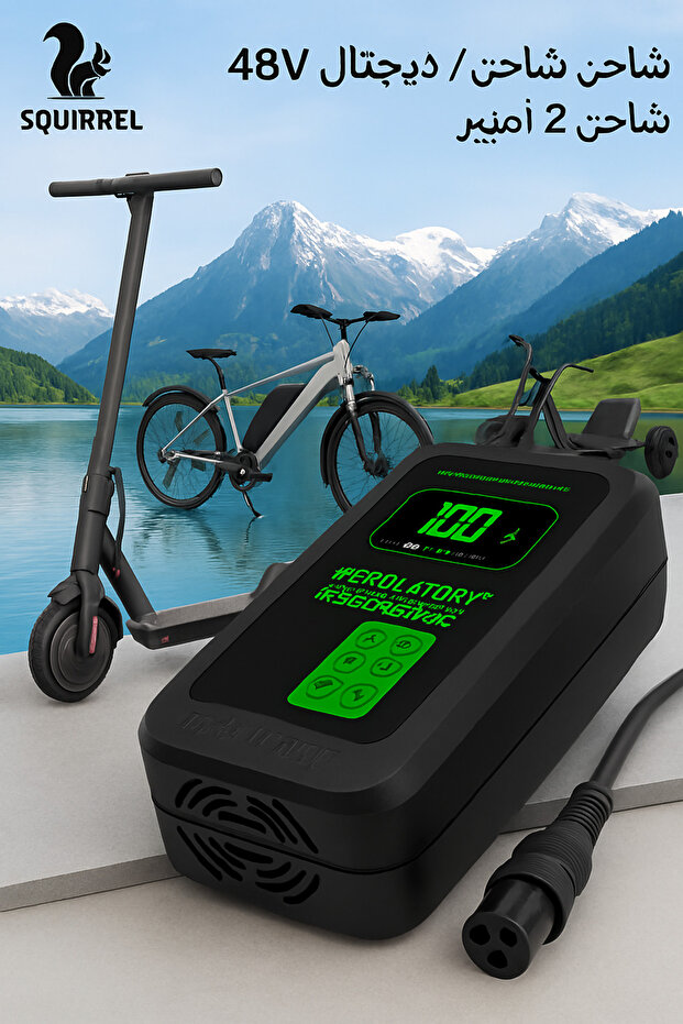 Drift Digital Charger 48V2A - 1