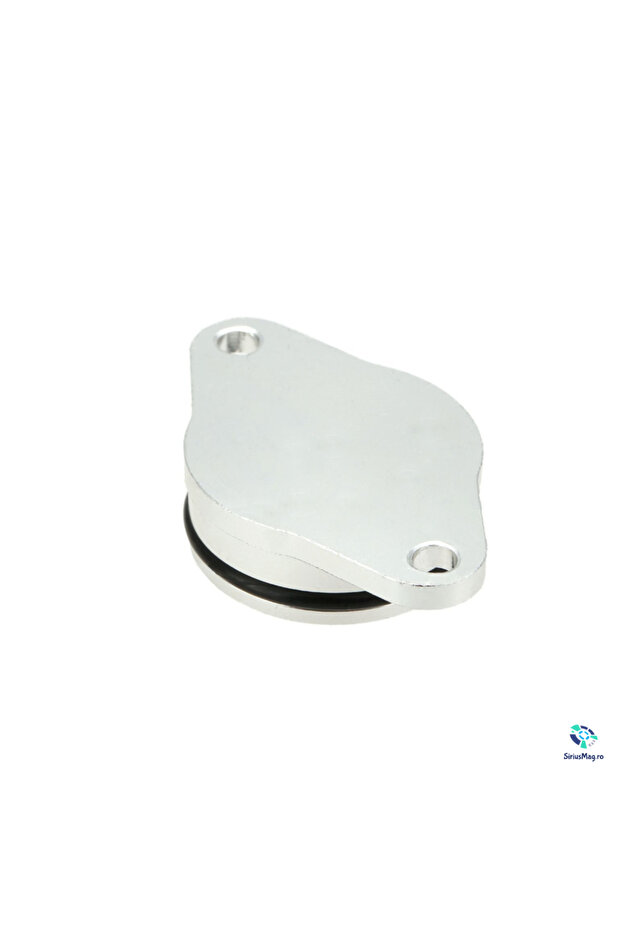 Intake Manifold Valve Cancellation Plug 33mm engine code M57 - 3