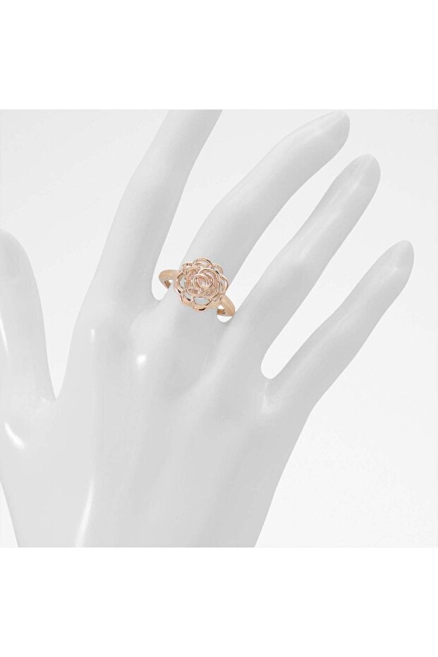 لاروساي / إكسسوارات - 3