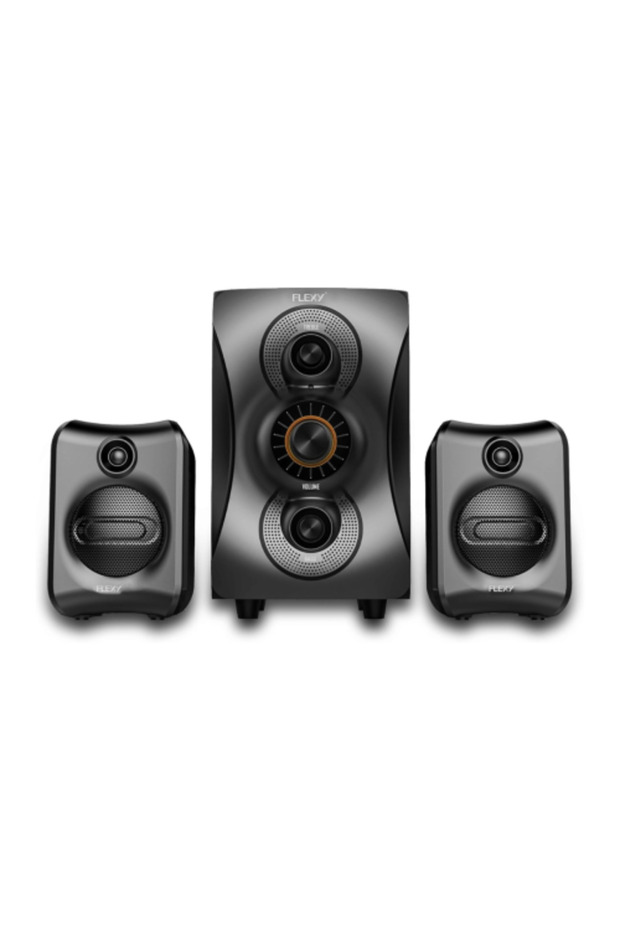 41FLEXY Multimedia Speaker - 1