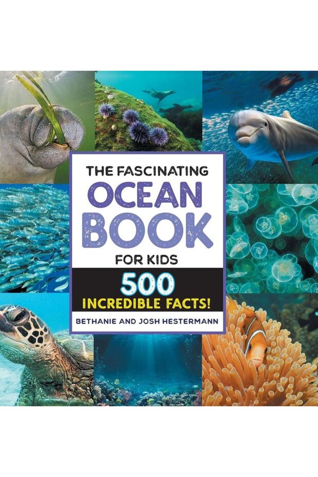 The Fascinating Ocean Book for Kids