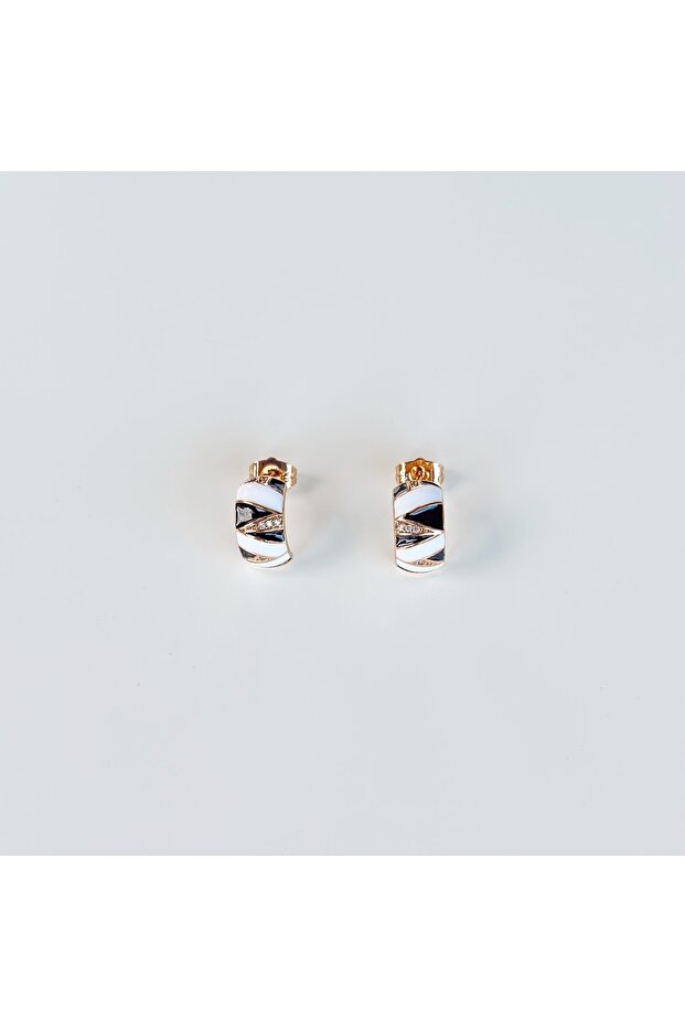 أقراط زيبرا المضيئة - 1