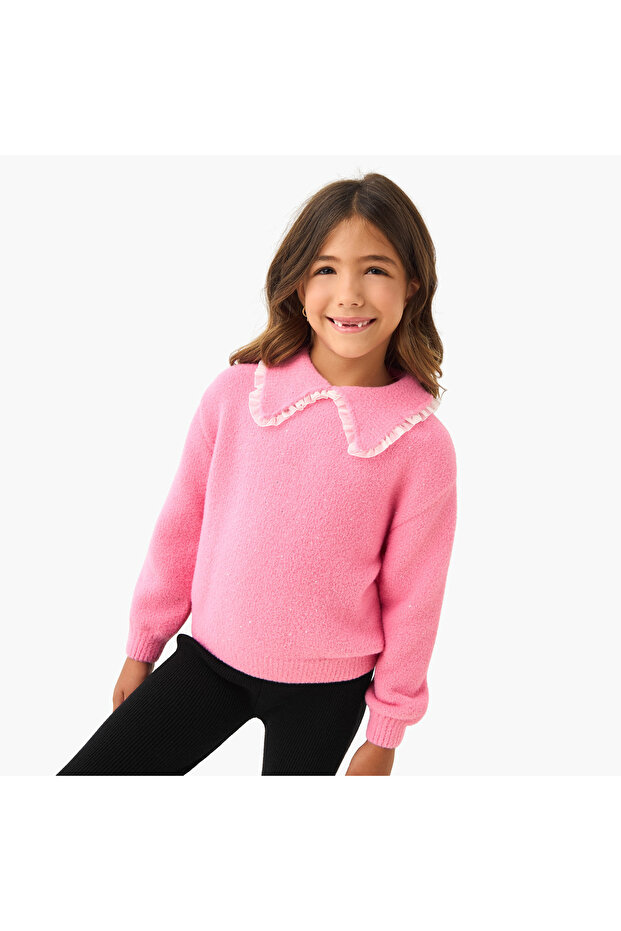 Embellished Sweater with Collar