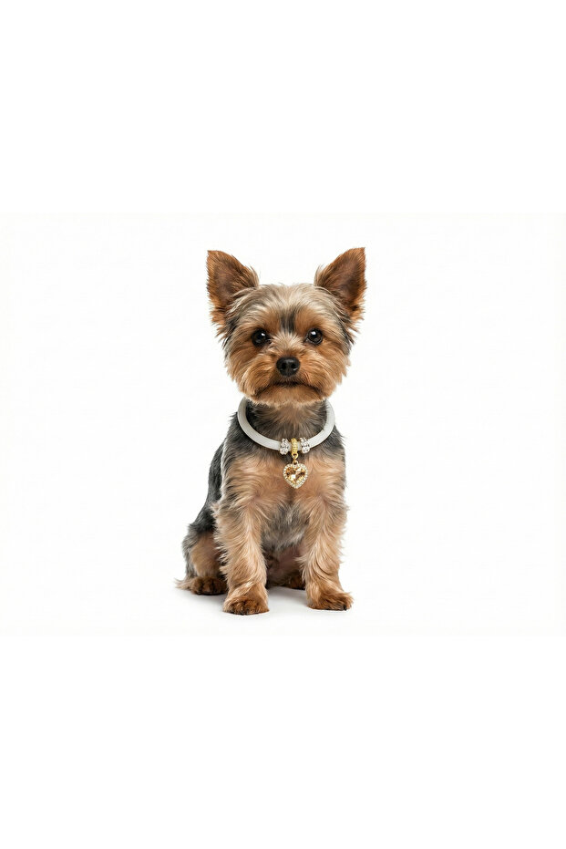 مجموعة نود ستون دوست - 4