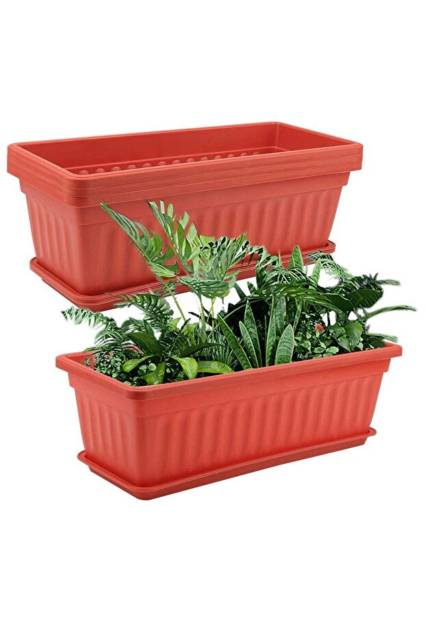 صينية زرع مستطيلة الشكل، وعاء زهور، صحن - 1