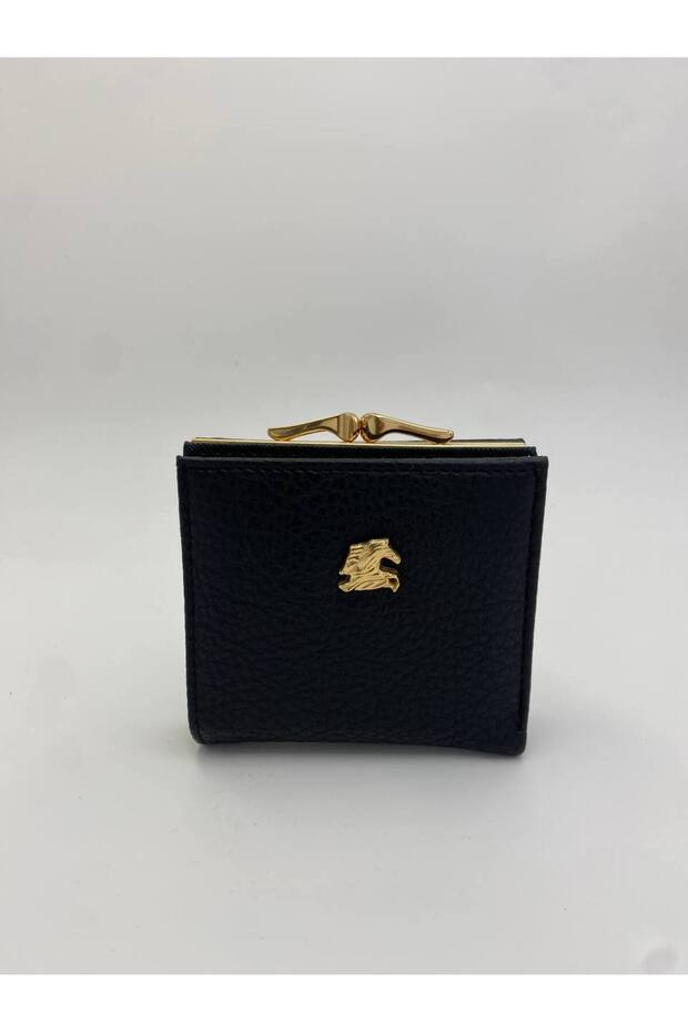 Xperia Women's Imported Clip-On Wallet with Magnetic Closure, Card Holder and Money Compartment