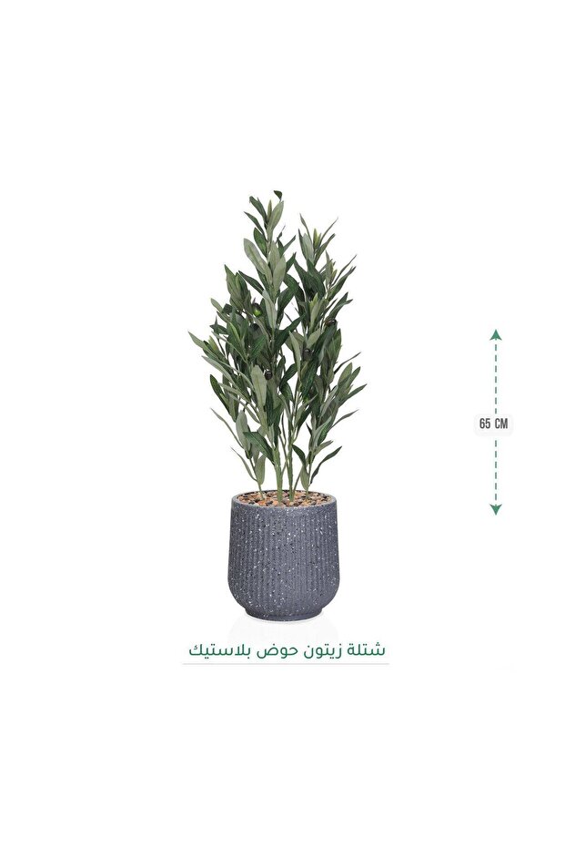 شتلة محاكاة لشجرة الزيتون بطول 65 سم