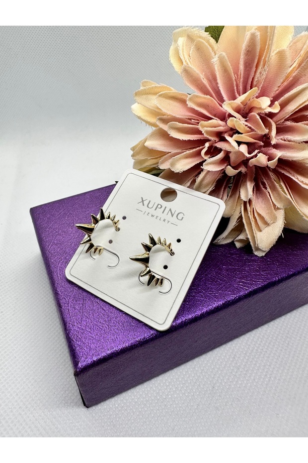 Thorn Ring Model Steel Earrings