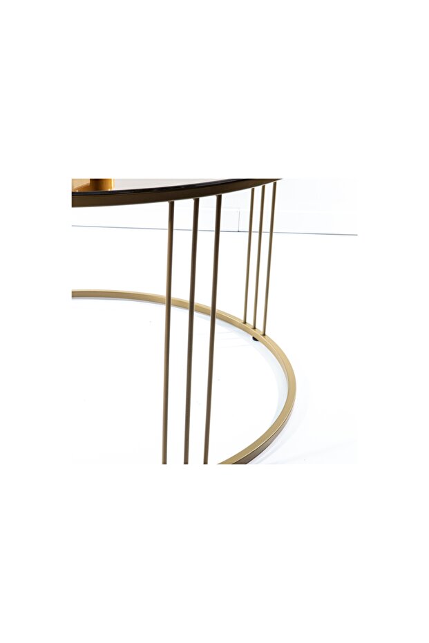 MARİO ORTA SEHPA, BRONZ - 4